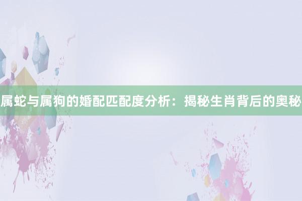 属蛇与属狗的婚配匹配度分析：揭秘生肖背后的奥秘