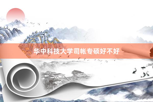 华中科技大学司帐专硕好不好